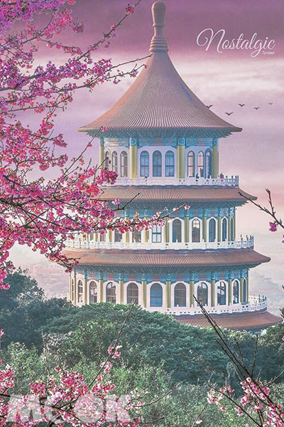 綠樹搭配粉櫻雨天元宮特色建築，風景如畫。 (圖／tpo5088)