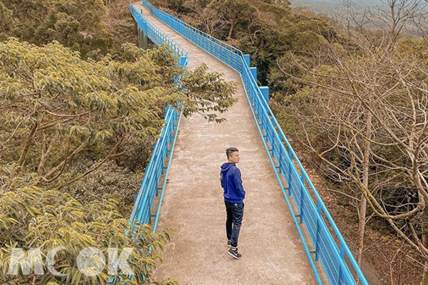 全台最美自行車道！茶園吊橋擁遼闊美景