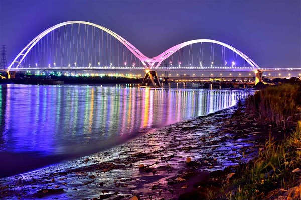 夜拍花海搭配新月橋點燈更顯迷人。