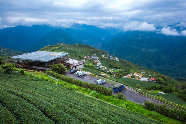 山嵐茶園壯闊美景！療癒系秘境放空必訪