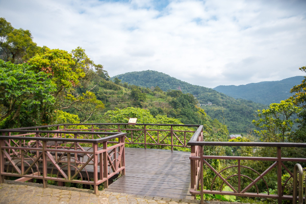 騎鐵馬遊溪山訪古圳！漫步山林秘境好療癒