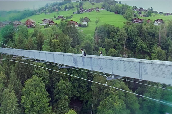 尹世理原本打算要自盡的大橋是瑞士錫格里斯維爾。