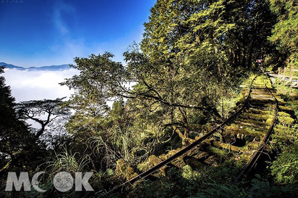 太平山的見晴懷古步道曾獲選為全球最美28條小路之一。 (圖／jerry1217922)