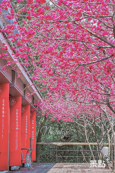 櫻花與紅柱上的優美文字。（圖／tpo5088）