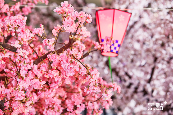 MITSUI OUTLET PARK 台中港 : 櫻花神社公園