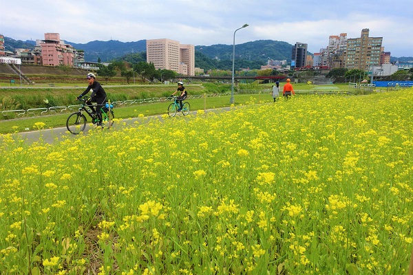 可騎單車賞花計畫踏青一日遊。