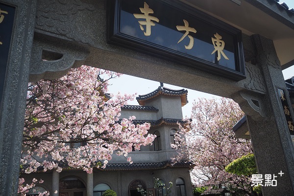 陽明山上的東方寺每年櫻花季皆吸引大批旅人前往欣賞。