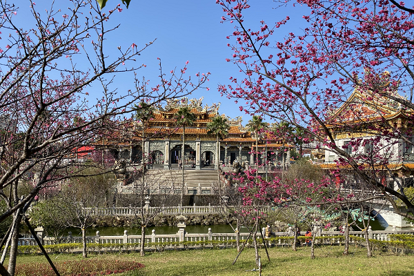 漫步在園區中，可欣賞美麗的櫻花與巍峨的廟宇。（圖／新北市政府，以下同）
