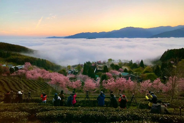 清晨時分有機會欣賞到日出雲海美景。