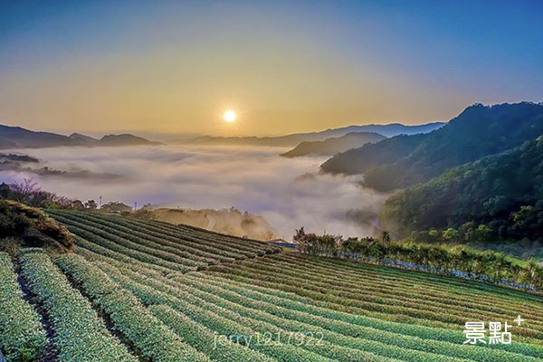 百萬級日出美拍！茶園秘境坐擁夢幻雲海