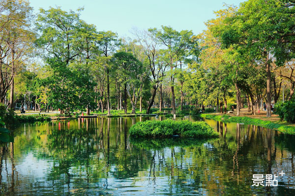 綠色映著水面，沉浸在大自然之中，美景如畫般。(圖／高雄市政府)