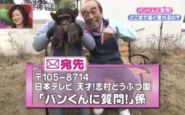 パン君(小龐)和志村健さん。志村動物園讓我開始喜歡志村健さん。