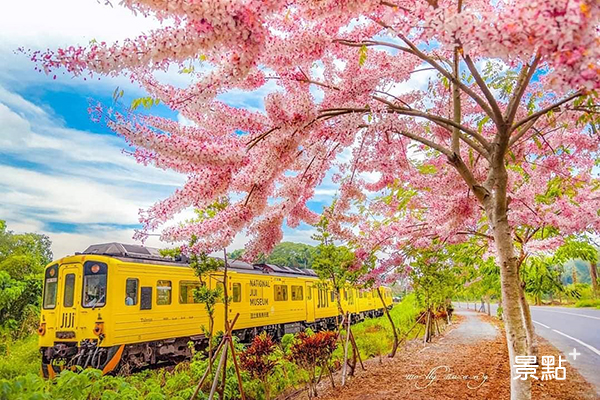 秒飛日本花旗木花海！鐵道風光散心美景地