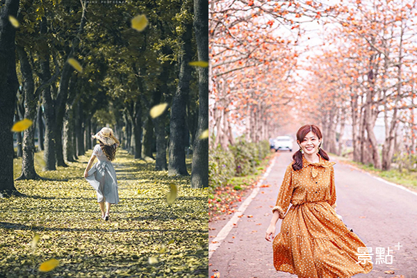 浪漫樹海療癒人心 (圖／bb211019、delia_51)