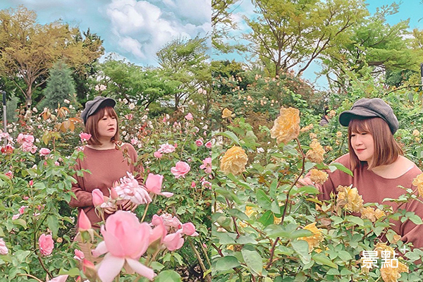 台北玫瑰展在花博公園新生園區開幕 (圖／f_love_c)