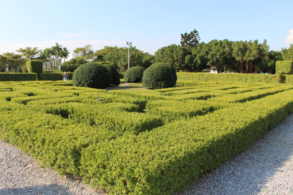 花園迷宮是大家最愛的打卡景點 (圖／台北市政府)