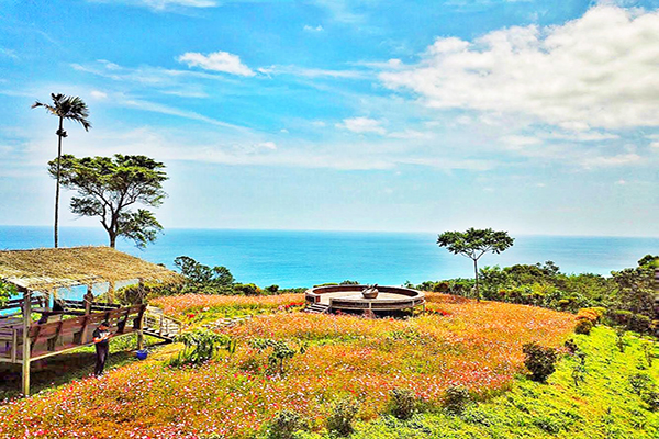 能同時賞花賞海的星龍花園。 (圖／星龍花園)