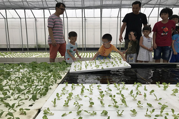 目前農場規劃有親子營，讓孩子認識魚菜共生，以及農事體驗營。 (圖／桃園市農業局)