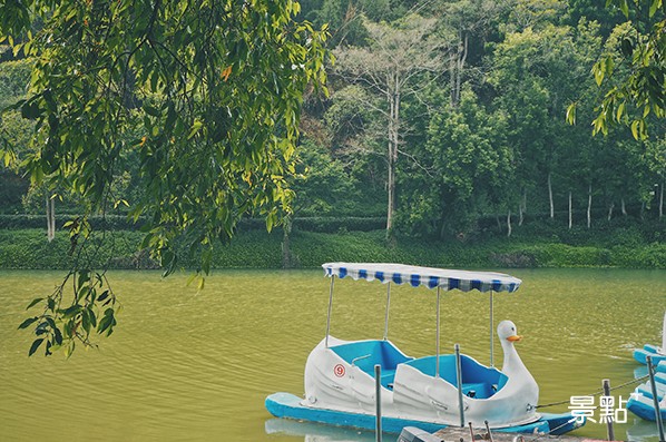 深受歡迎的天鵝船，遊客在踩踏之間可悠閒環湖盡享這片湖光山色。(圖／景點家張盈盈)