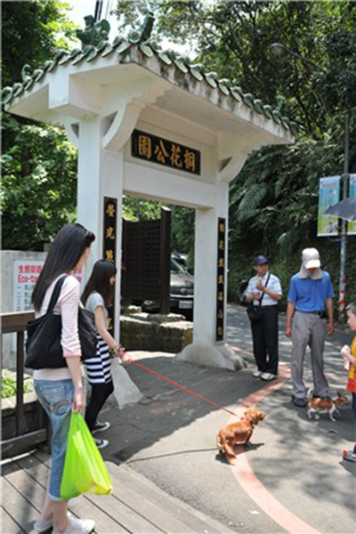 桐花公園是個多功能的休閒公園 (圖／新北市政府)