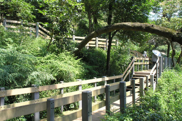 古道美景玩轉信義！一日漫遊小鎮超有趣