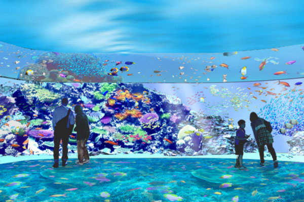Xpark展區「珊瑚潛行」。(圖／Xpark)