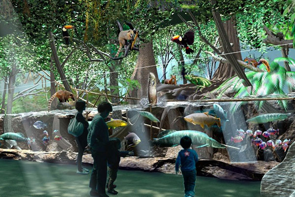 Xpark展區「雨林探險」。(圖／Xpark)