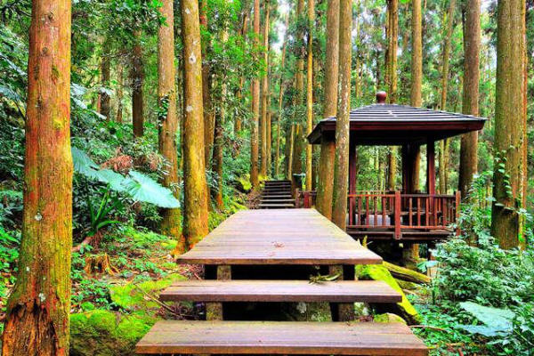 規劃完整的木棧道讓旅人們輕鬆與大自然互動。 (圖／交通部觀光局)