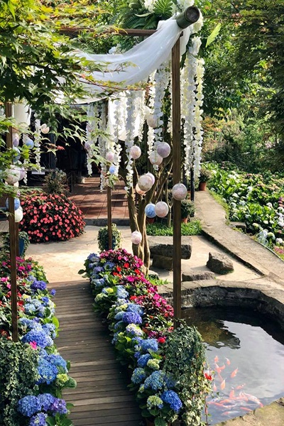 大梯田花卉生態農園是竹子湖知名的賞花景點 (圖／大梯田花卉生態農園)