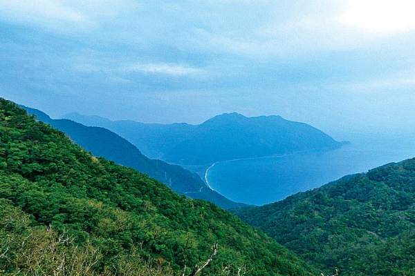 穿梭山林古道賞海灣絕景！凹豆必訪達人級秘境