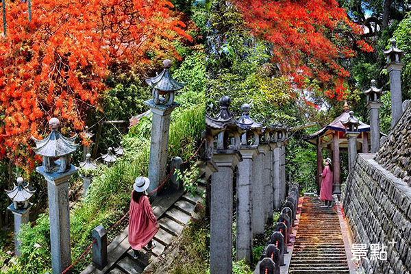寺院斜坡旁種植鳳凰木，花開時為這石燈階梯更添日式風情。(圖／taiwan.4fun)