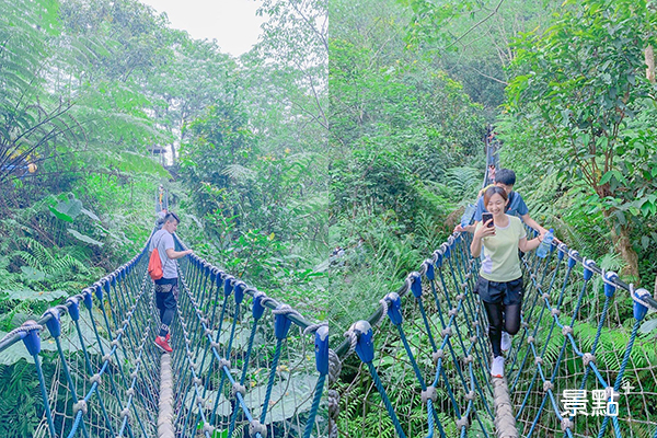 桐花公園內的三角吊橋。 (圖／owen_0414)