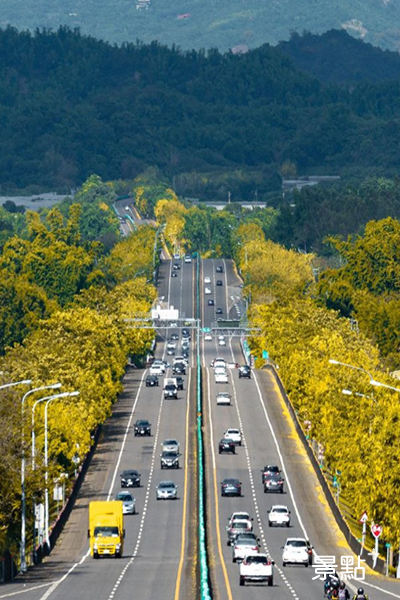 兩旁滿滿的阿勃勒花海搭配筆直的公路，景色如畫。  (圖／porter_photo)