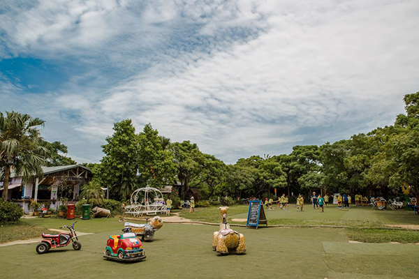 中央大草坪提供孩子可以盡情玩耍 (圖／桃園市政府)