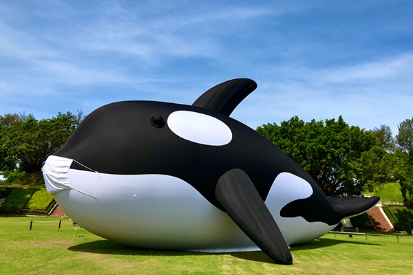 全球最大虎鯨裝置藝術「安平虎鯨Orca」 (圖／台南市政府)