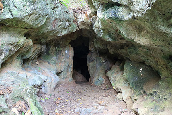 猩猩洞有許多各種造型的鐘乳石及石筍