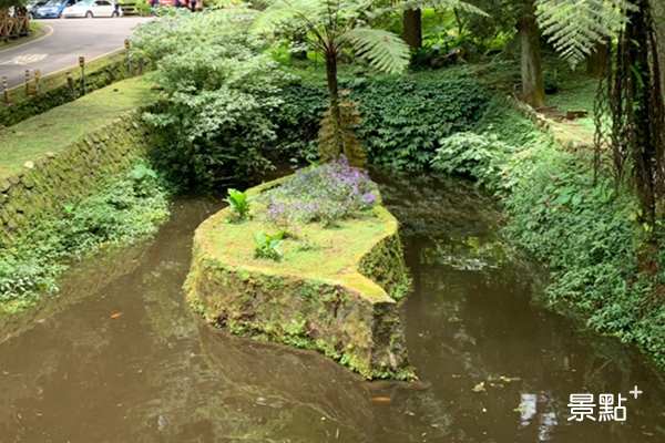 溪頭森林遊樂園區內通往大學池的路上，有台灣形狀的島座在水池中。 (圖／cheriechang1217)