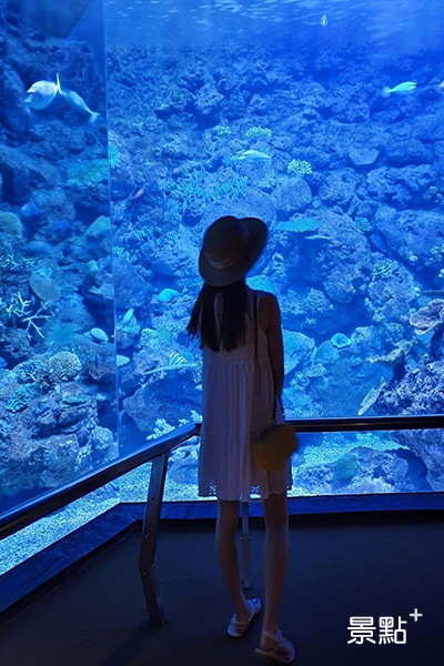 屏東海生館為全球十大水族館之一，館內展示多樣化魚種並模擬海洋環境生態。 (圖／fiiiiiiiibebe0301)