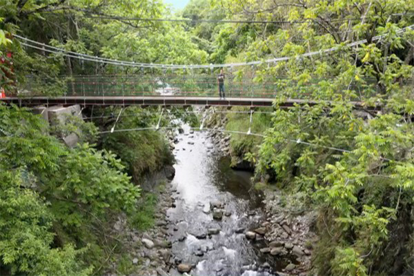 吊橋上可遠望圓滾滾山頂的桃山，下可欣賞七家灣溪流水。