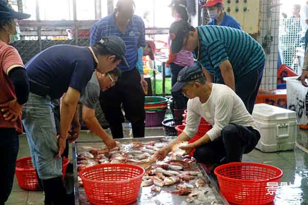 蚵仔寮魚市場最大特色就在於「現撈仔」。
