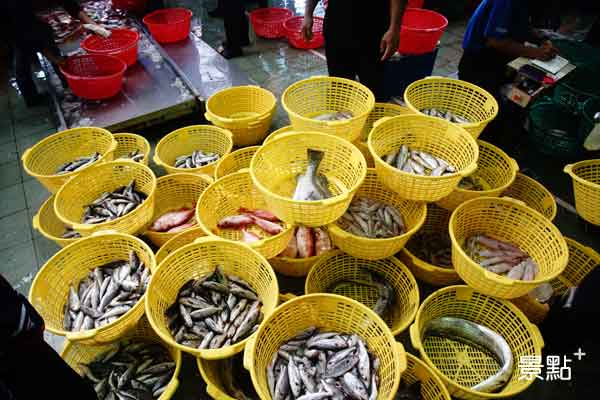 蚵仔寮漁港執行魚貨不落地，嚴格控管衛生。
