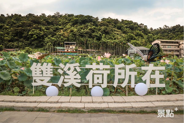 雙溪荷所在打卡地標。（圖／景點家謝明軒）