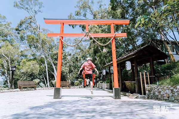 日式鳥居秒飛日本！森林綠意新景點試營運免費