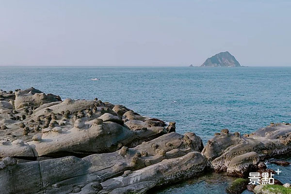 和平島公園岩石地形豐富。(圖／和平島公園)