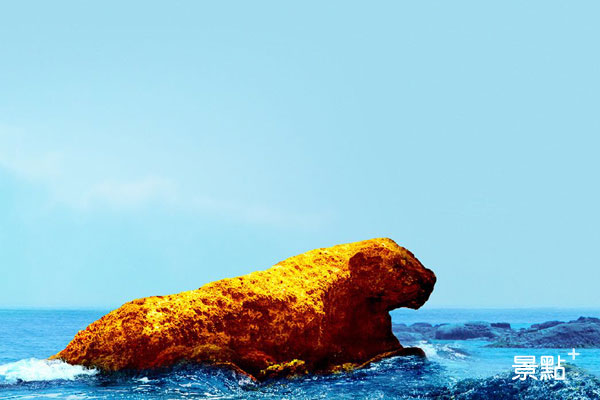基隆和平島-花豹岩。( 圖／和平島公園 )