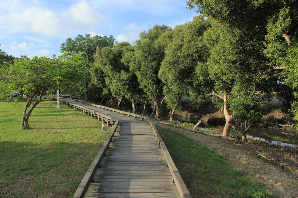 紅樹林茄苳溪保護區。