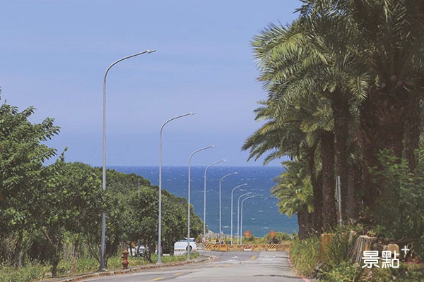 馬路一旁的棕櫚樹，讓景色帶點國外度假氛圍。