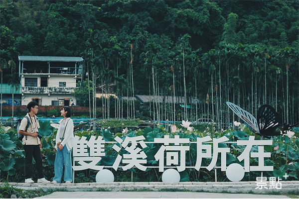 日賞荷花夜賞蓮！秘境漫遊愜意約會夏日輕旅行