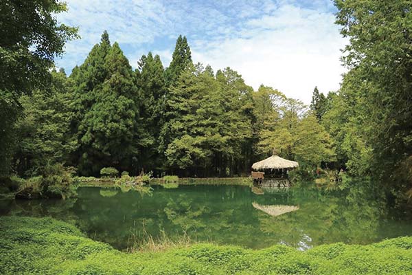 夢幻仙湖藏森林秘境！絕景宛如山水油畫