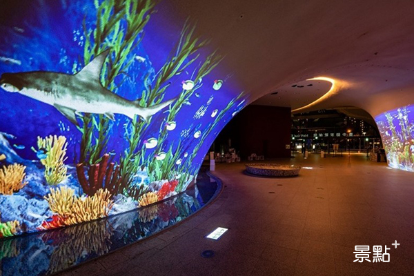 宛如水族館夢幻場景！沉浸式曲牆光影秀免費賞